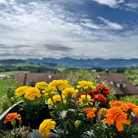 Appart Am Hang Mit Alpenblick Oberreute Exterior photo