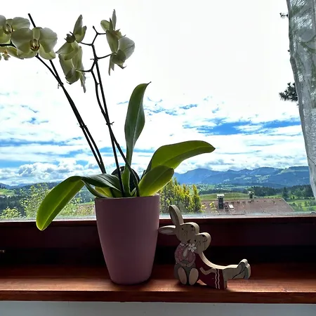 Appart Am Hang Mit Alpenblick Oberreute Exterior photo
