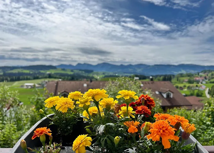 Appart Am Hang Mit Alpenblick