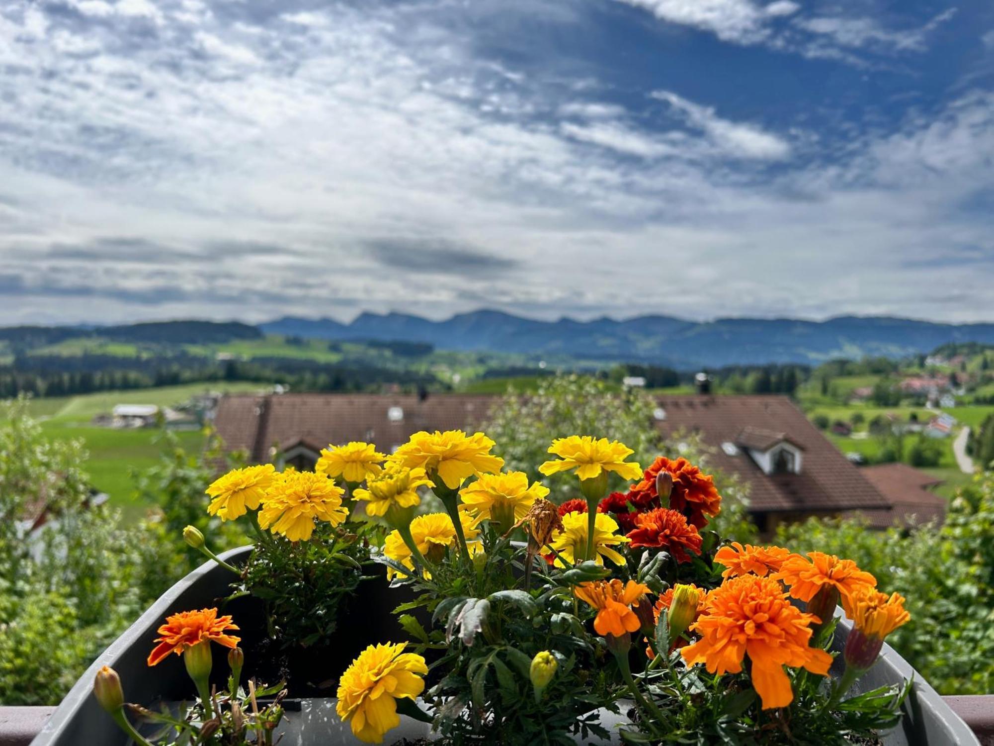 Apartament Am Hang Mit Alpenblick